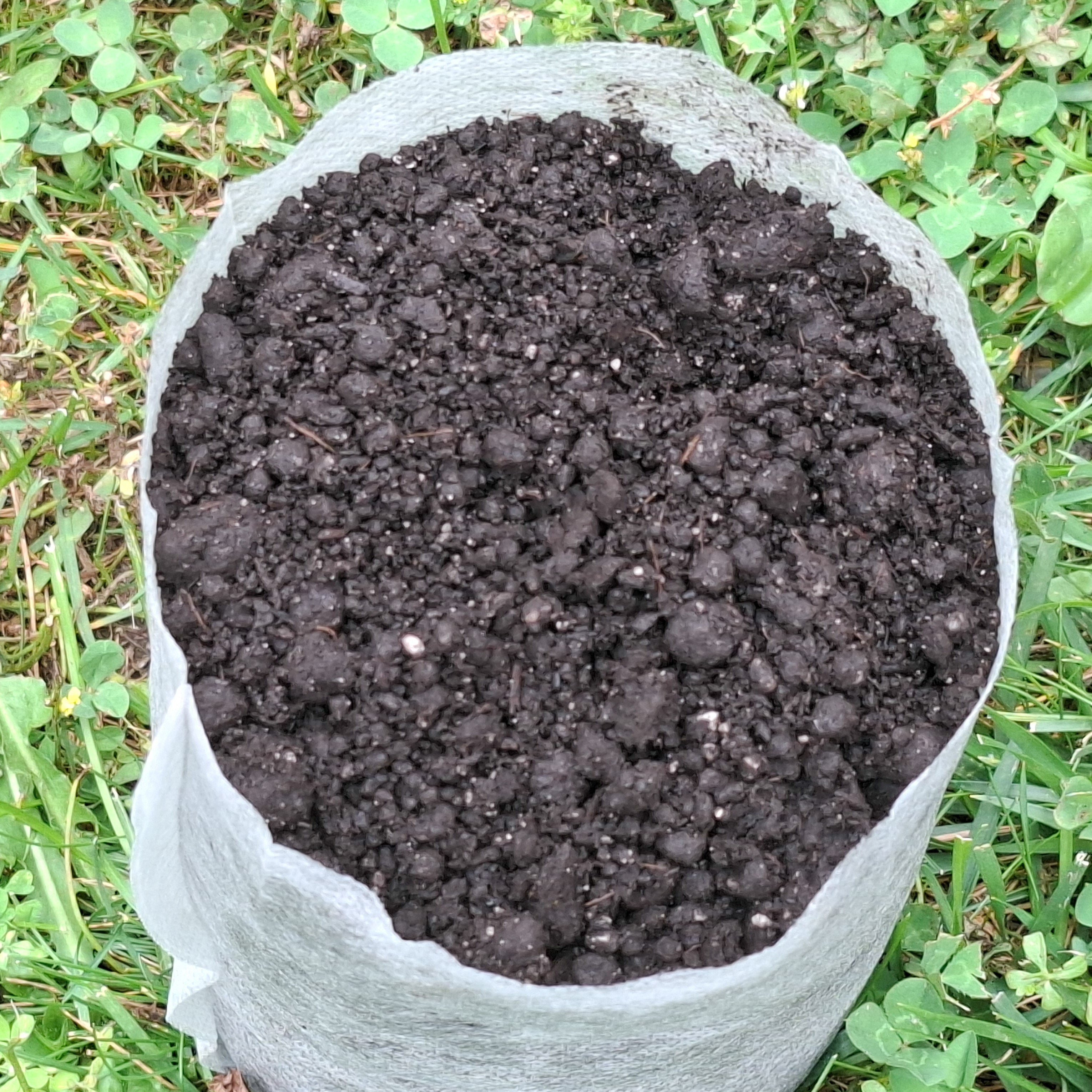 Premium Cannabis Super Soil. Seedlings to Harvest.