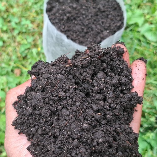Premium Cannabis Super Soil. Seedlings to Harvest.