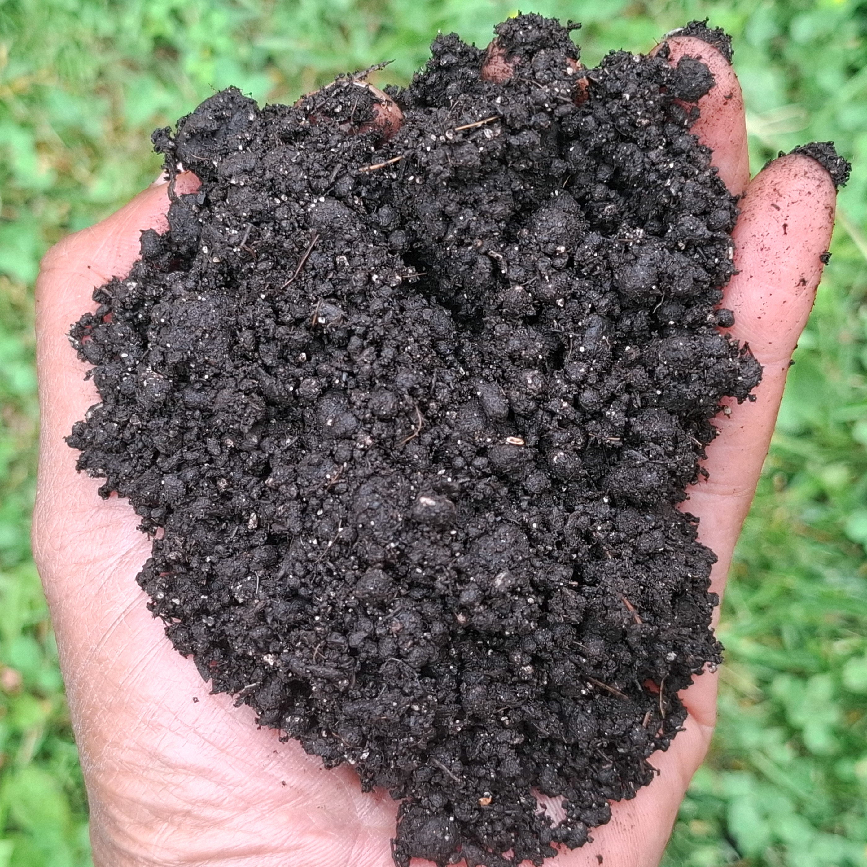 Premium Cannabis Super Soil. Seedlings to Harvest.