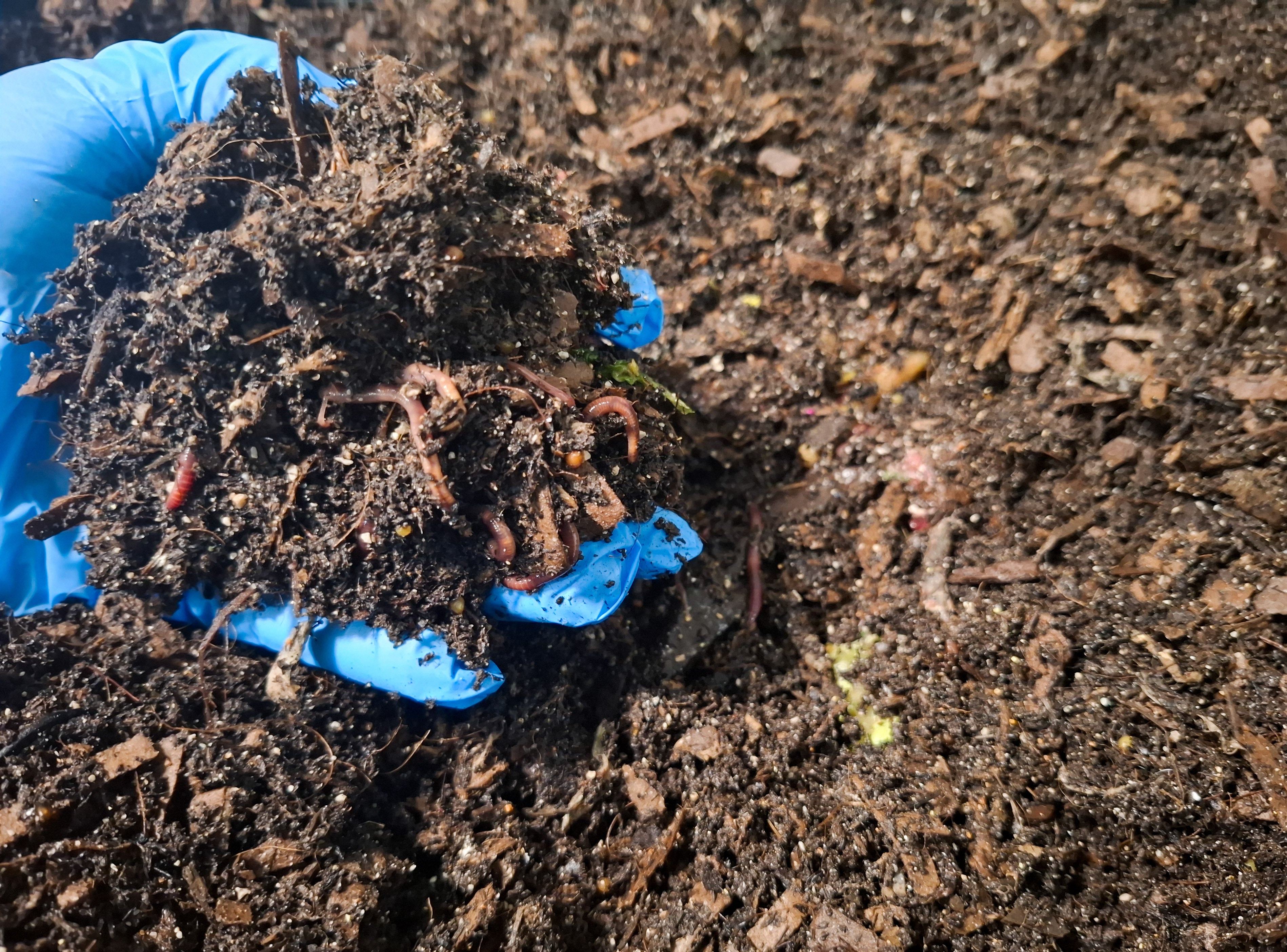 Ultimate Organic Cannabis Fertilizer
