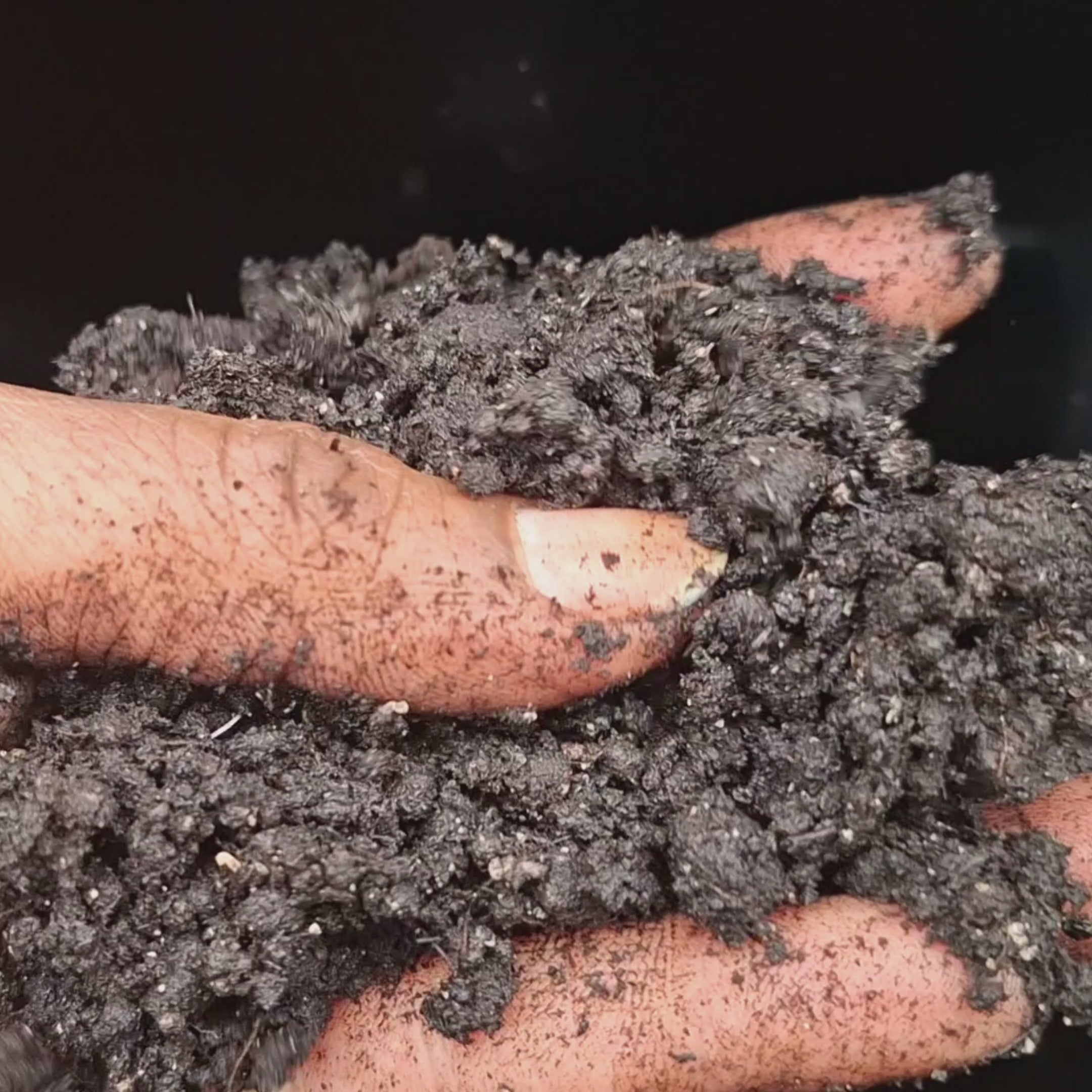Premium Cannabis Super Soil. Seedlings to Harvest.